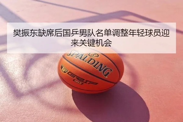 樊振东缺席后国乒男队名单调整年轻球员迎来关键机会
